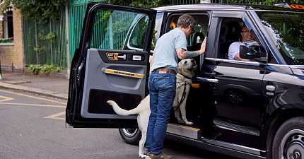 HACKNEY AND PRIVATE HIRE DRIVERS REMINDER OF THE LAW IN RELATION TO ASSISTANCE GUIDE DOGS