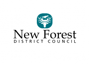 NEW FOREST TAXI DRIVERS FACE HIGHER FEES AS COUNCIL APPROVES LICENSING PRICE HIKE