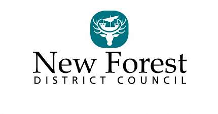 NEW FOREST COUNCIL CONSIDERS CCTV FOR TAXIS AND OTHER POLICY CHANGES